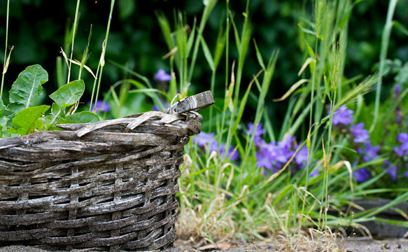 May 29 – Basket