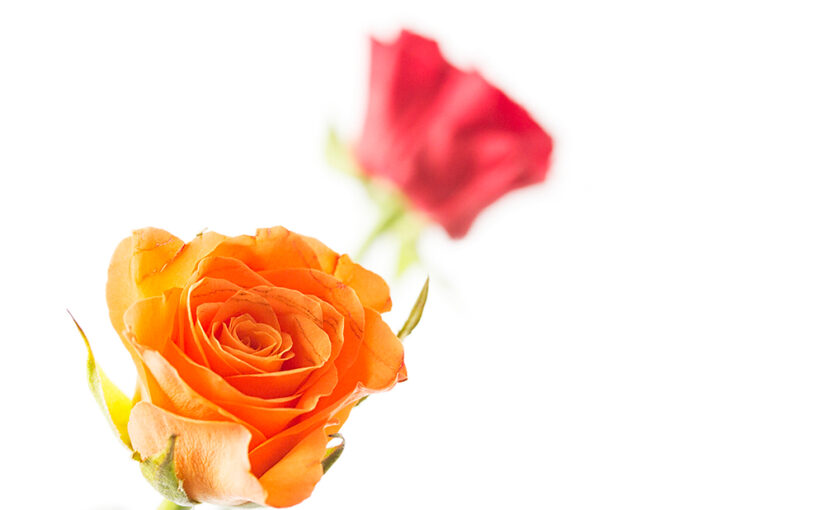 Aug 26 – Orange or red?