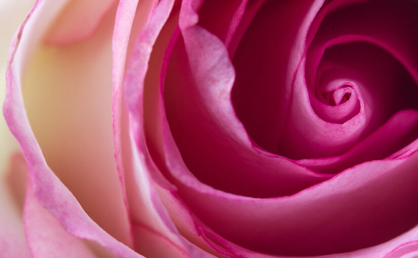 A detail