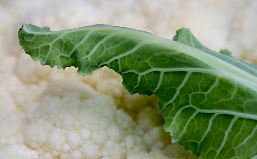 Nov 26 – Cauliflower