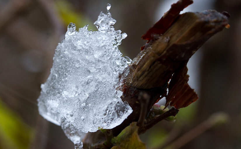 Dec 11 – Ice