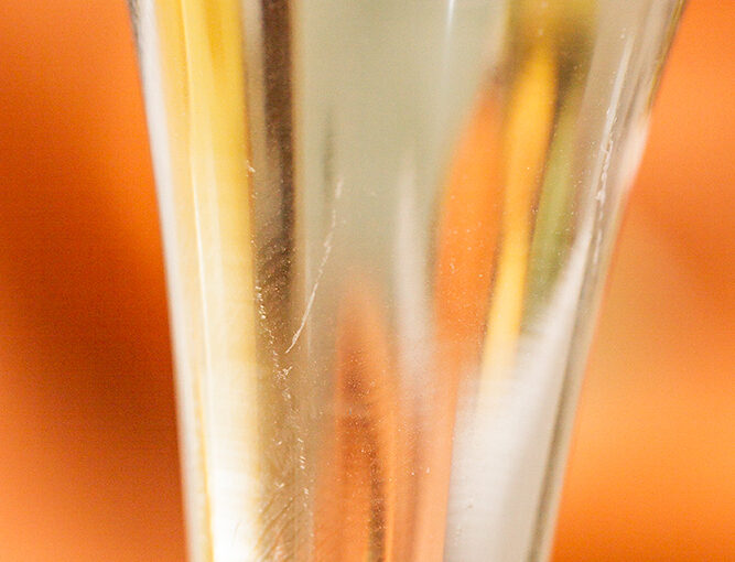 Feb 10 – Kind of abstract