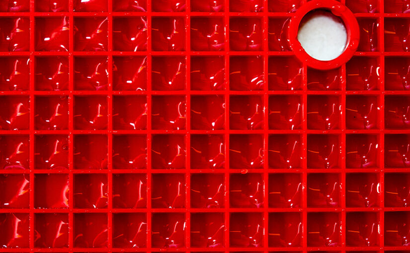Feb 11 – Red squares