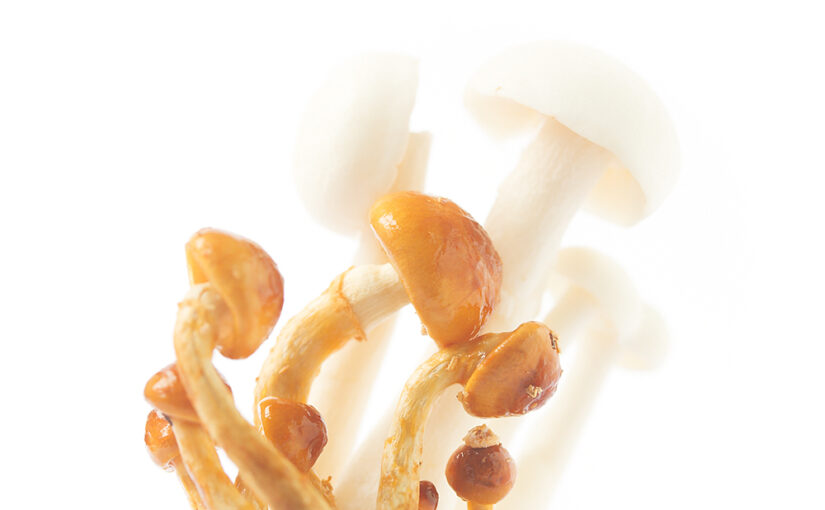 Feb 14 – Mushrooms