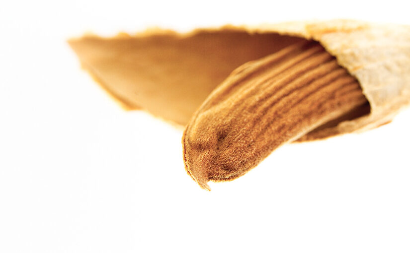 Feb 26 – Almond