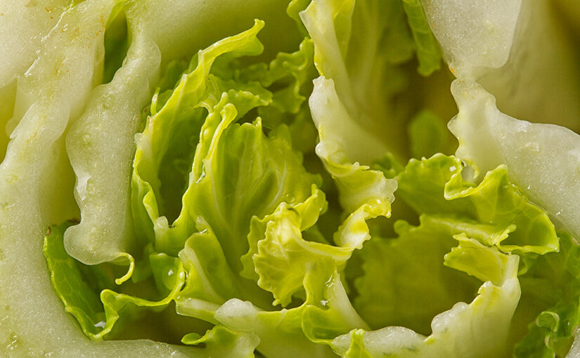 Mar 04 – Veggie
