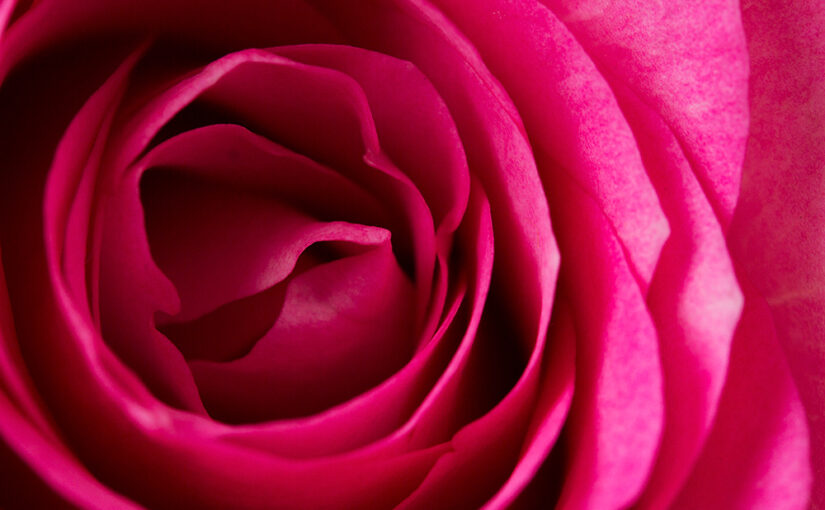 May 18 – Pink