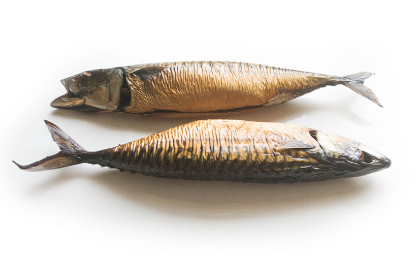 Aug 03 – Fishy