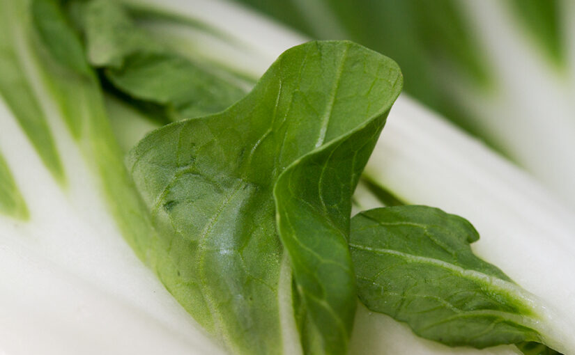 Aug 12 – Green