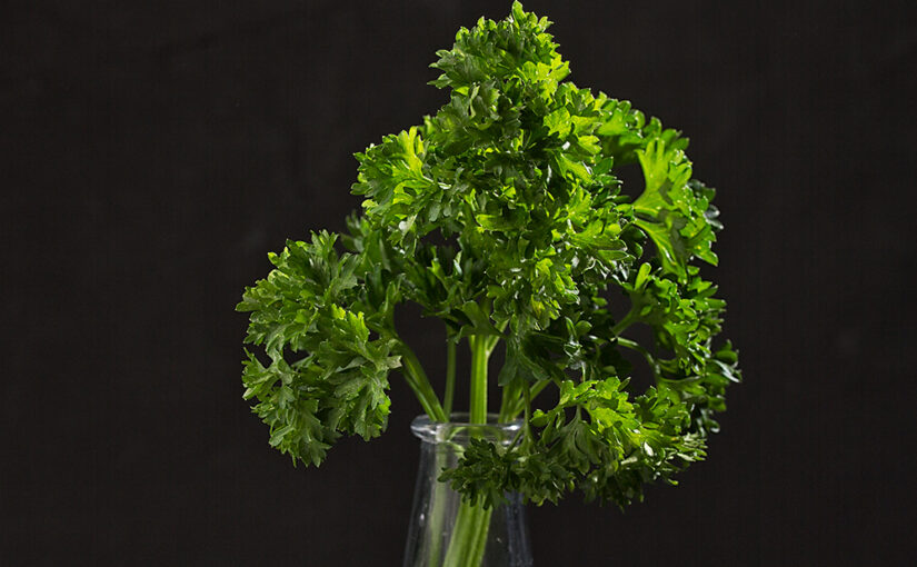Fresh herbs for today