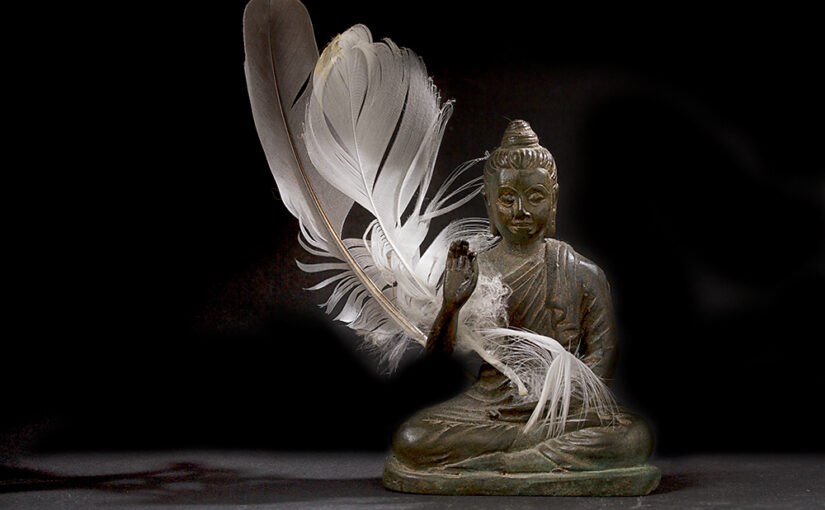 Sep 10 – Feathers