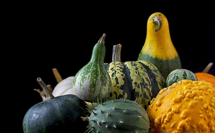 Sep 12 – Pumpkins