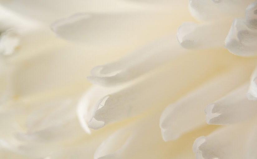 Sep 30 – White magic