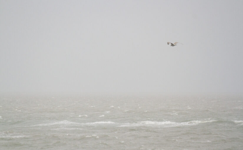 Oct 23 – Gray