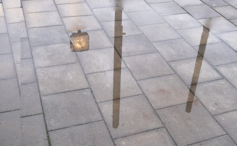 Dec 06 – 08:56