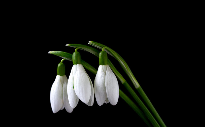 Feb 12 – Three