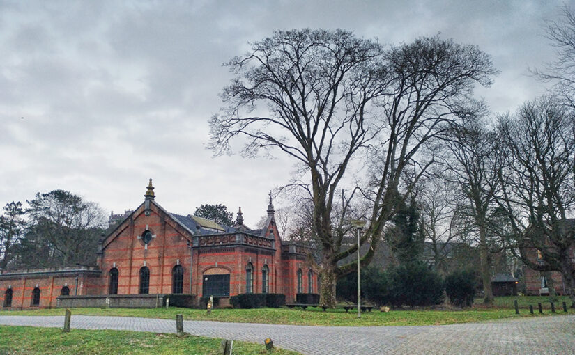 Feb 16 – Trees and buildings