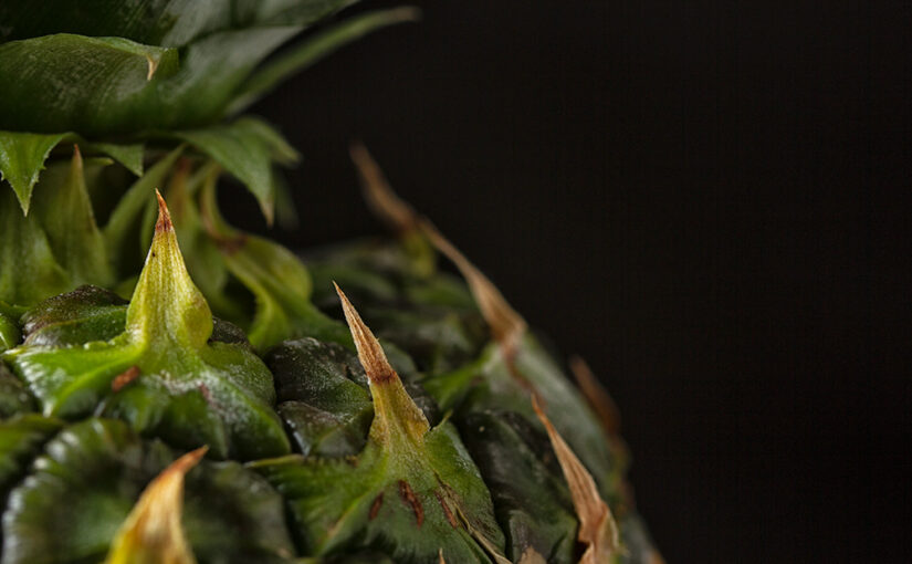 Feb 23 – Tropical