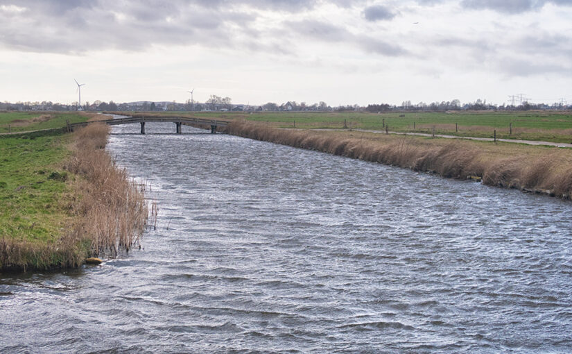Mar 07 – Landscape