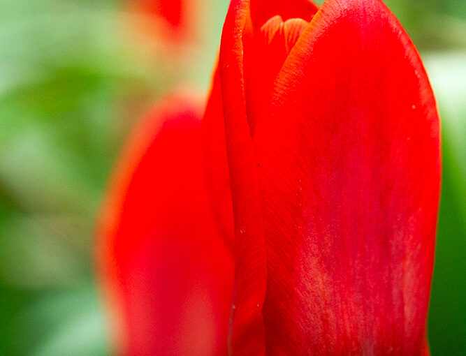 Mar 09 – Early