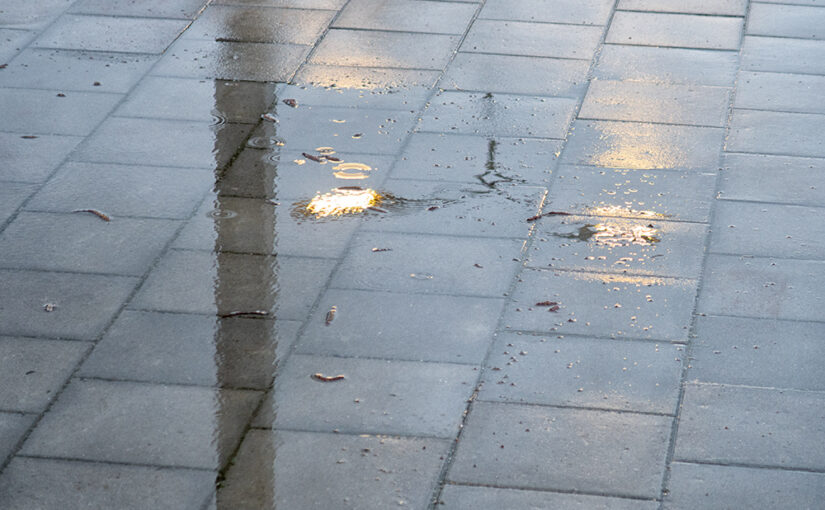 Mar 11 – Reflection