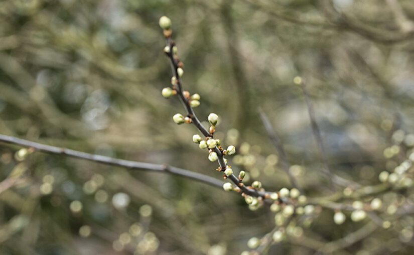 Mar 21 – Season change