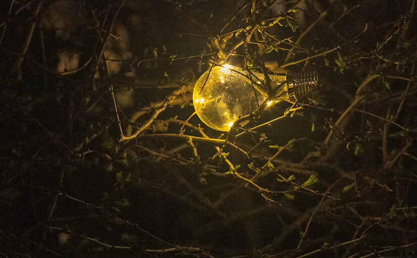 Mar 23 – Light in the dark