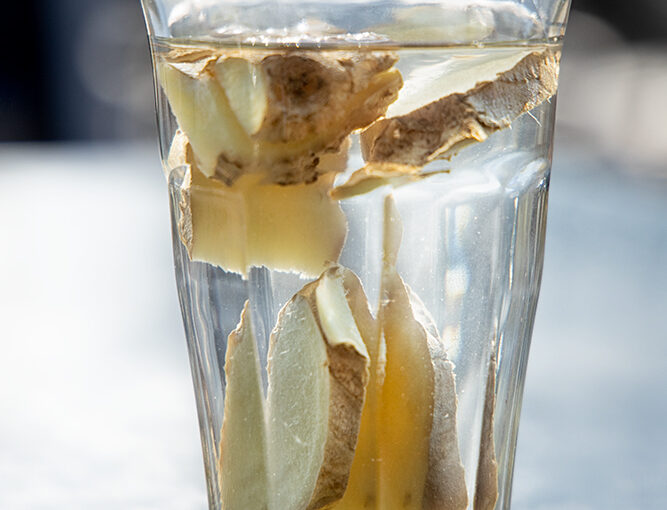 Mar 29 – Ginger