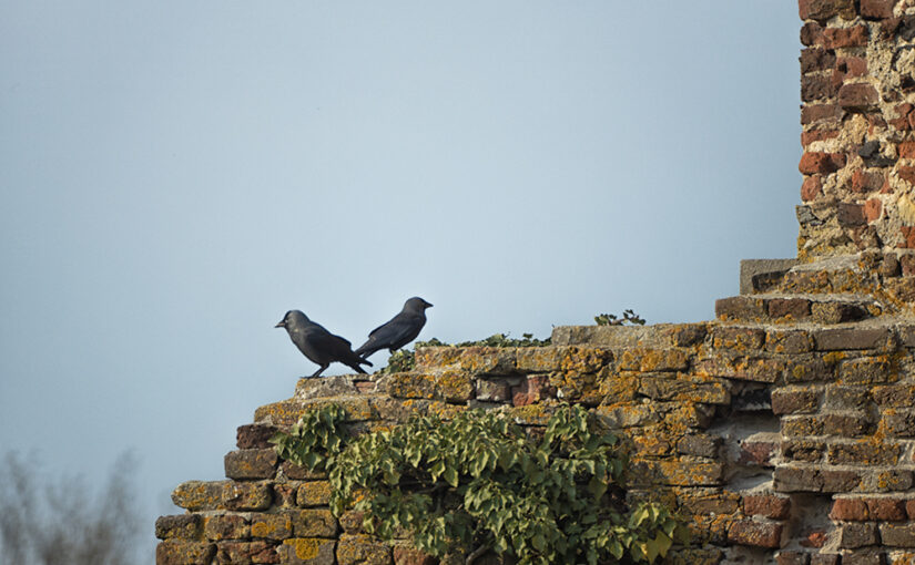 Mar 30 – Couple