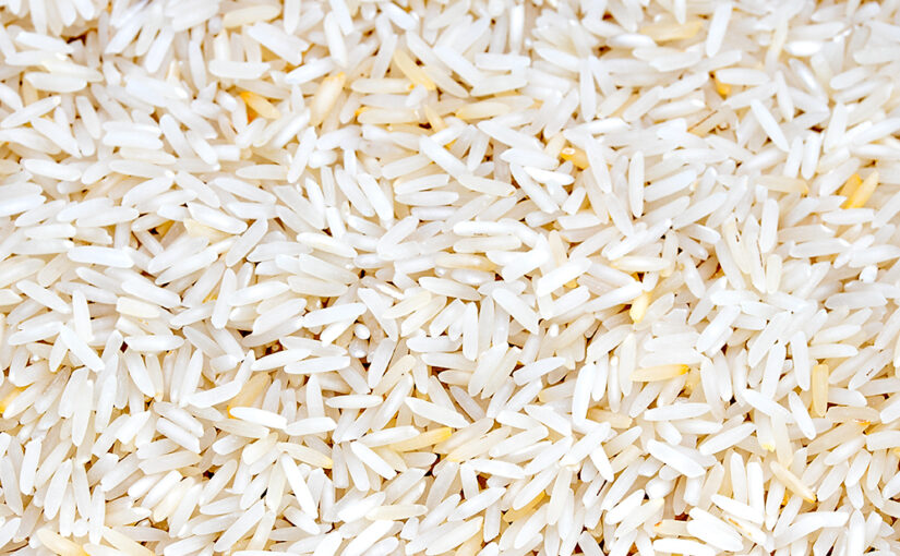 Apr 08 – Rice