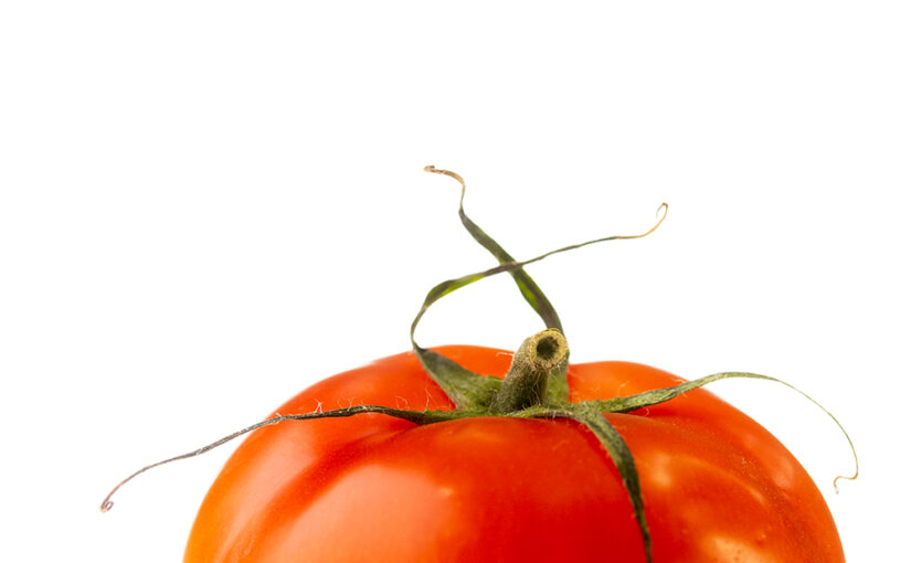 May 08 – Tomato