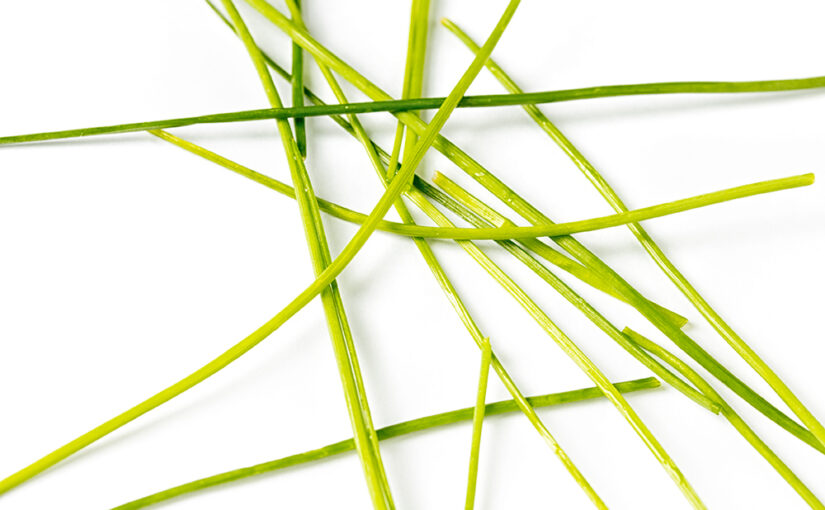 May 31 – Green lines