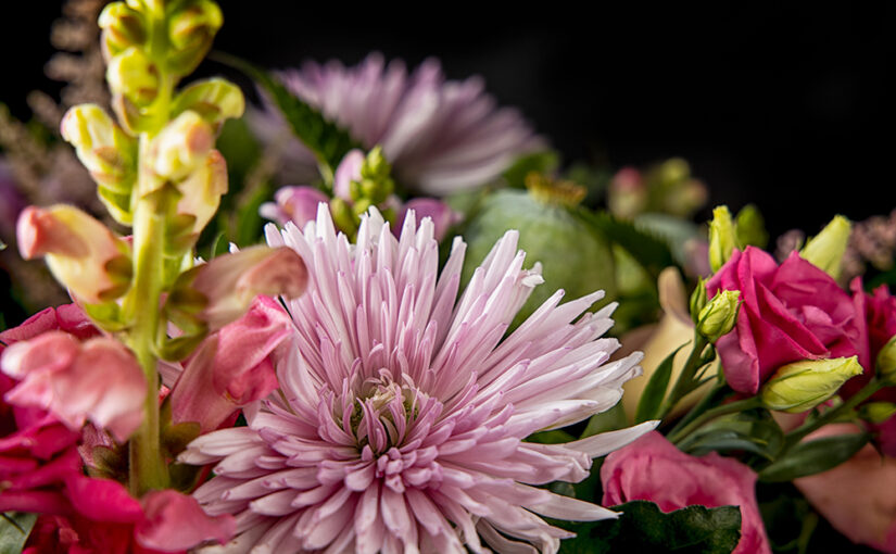 Aug 16 – Flowers