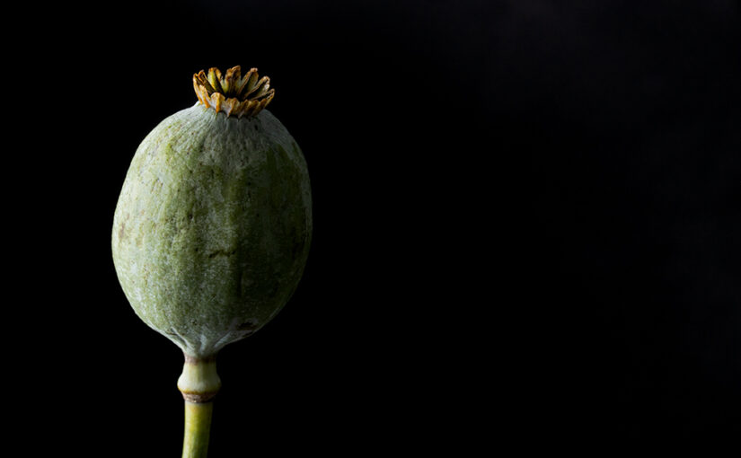Aug 17 – Egg-shaped