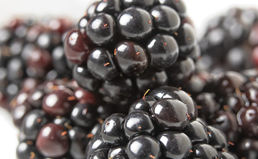 Nov 07 – Balls