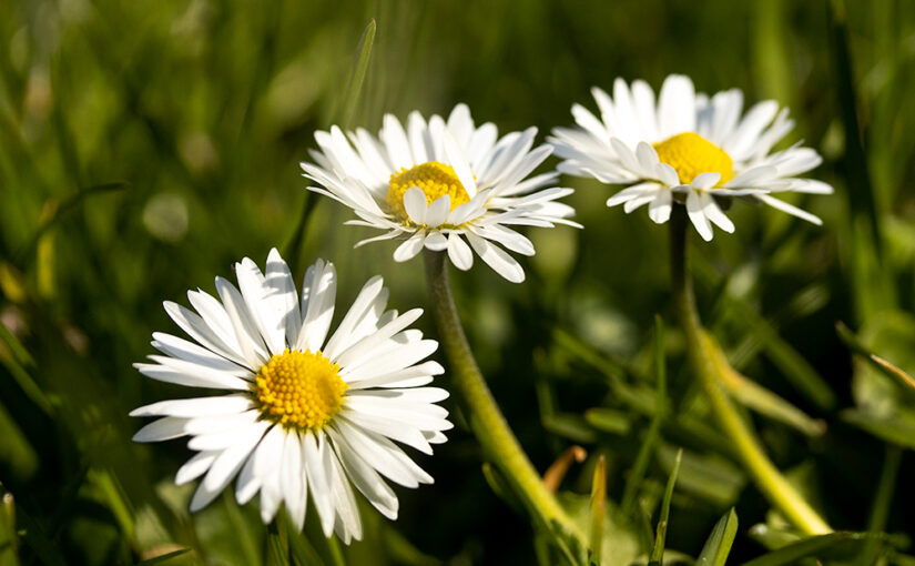 Mar 24 – Three