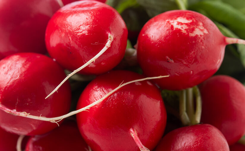 Apr 06 –  Radish