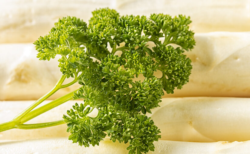 May 13 – Parsley