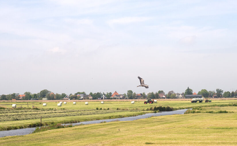 May 18 – Landscape with heron