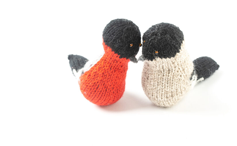 May 29 – Bullfinches
