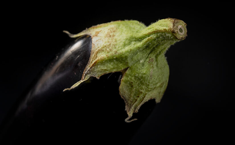 Portrait of an eggplant