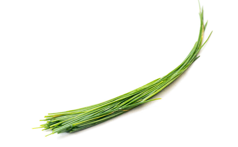 Chives from my garden