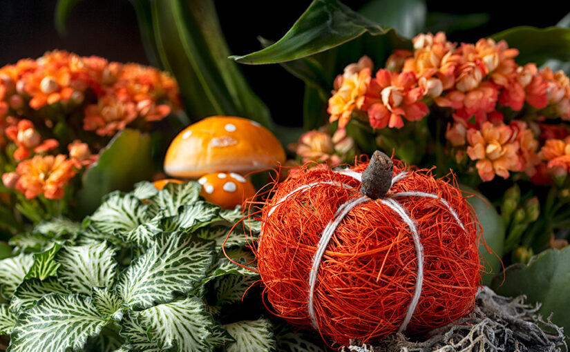 Oct 04 – Autumn