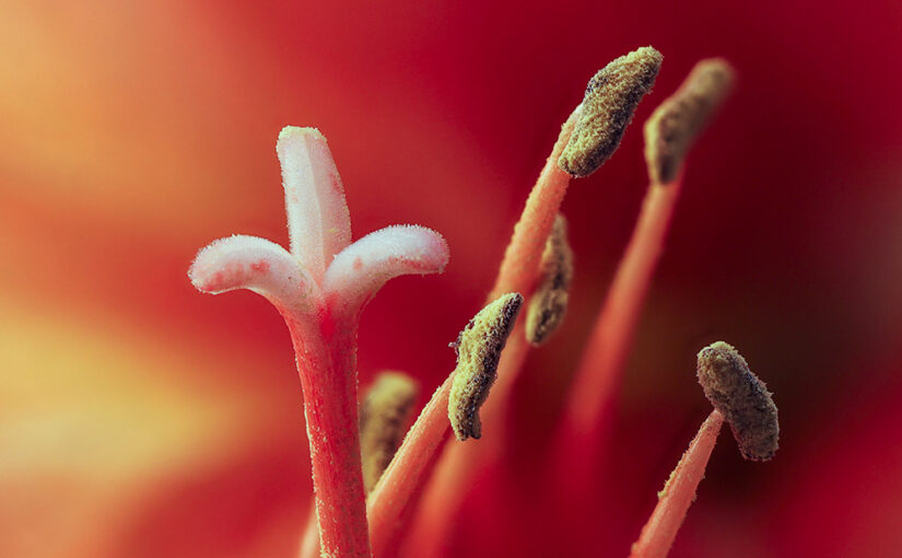 A detail.