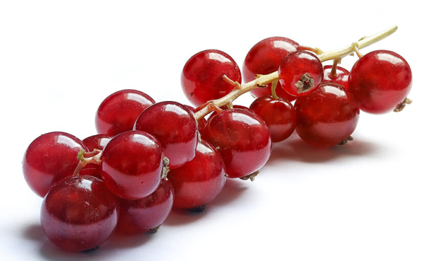 Dec 14 – Redcurrants