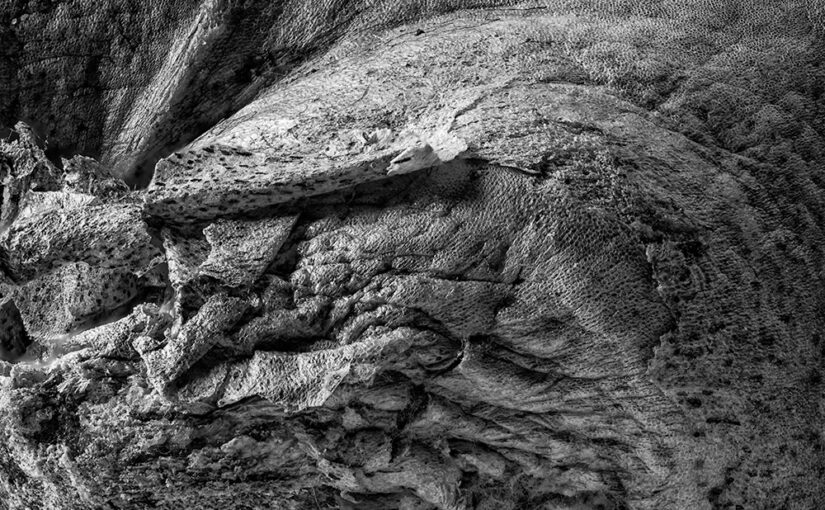 Jan 08 – Skin