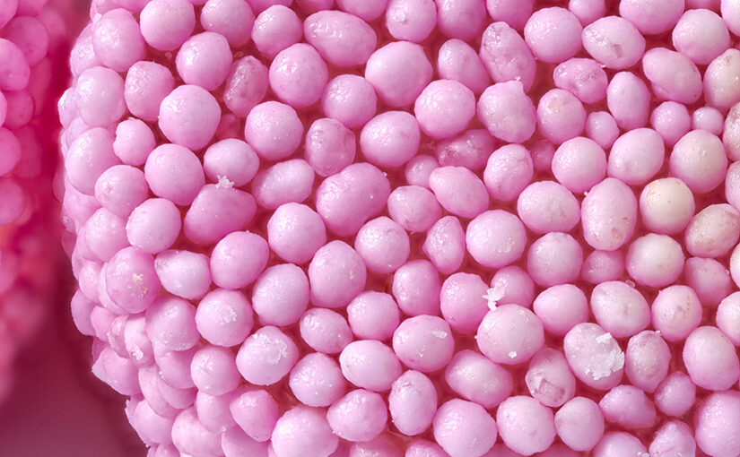 Jan 26 – Pink balls