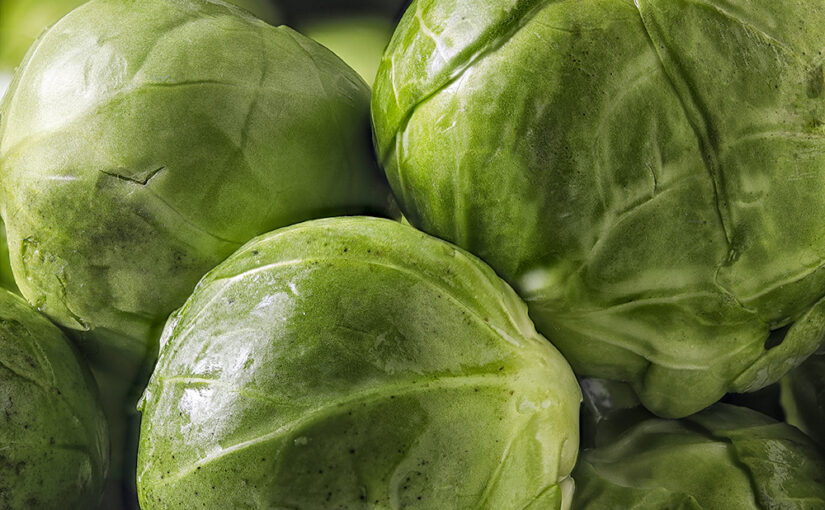 Jan 31 – Sprouts