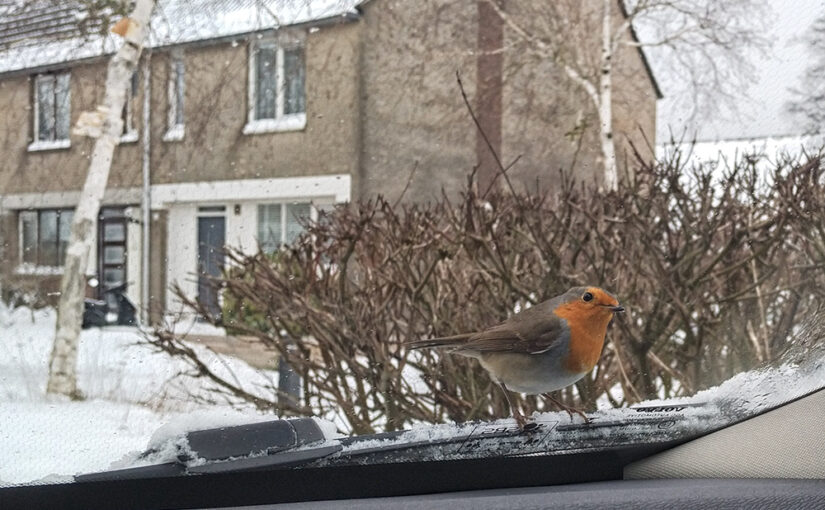 Feb 08 – Tweedily deedily dee