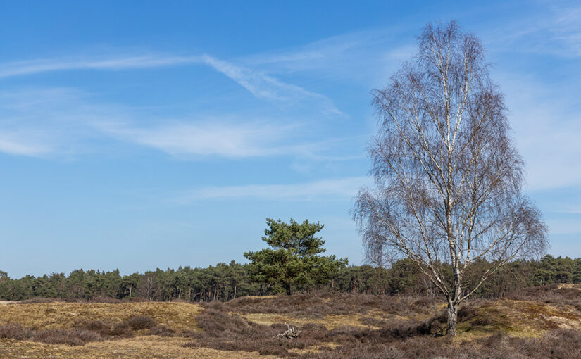 Mar 30 – Landscape